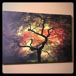 Tree picture